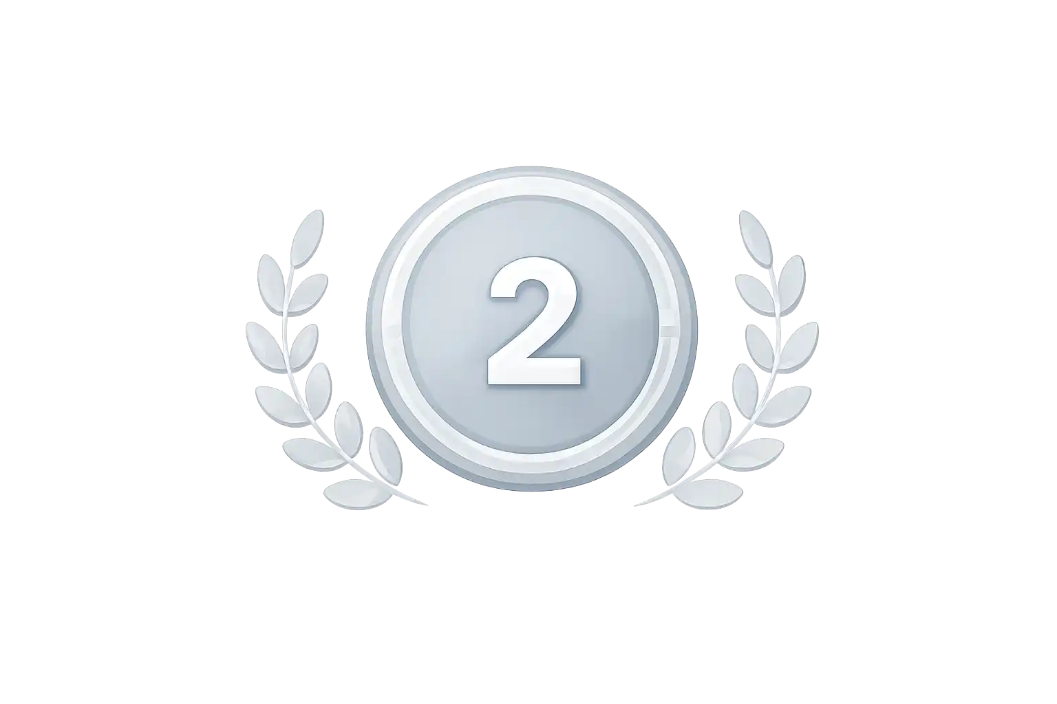 Silver Medal