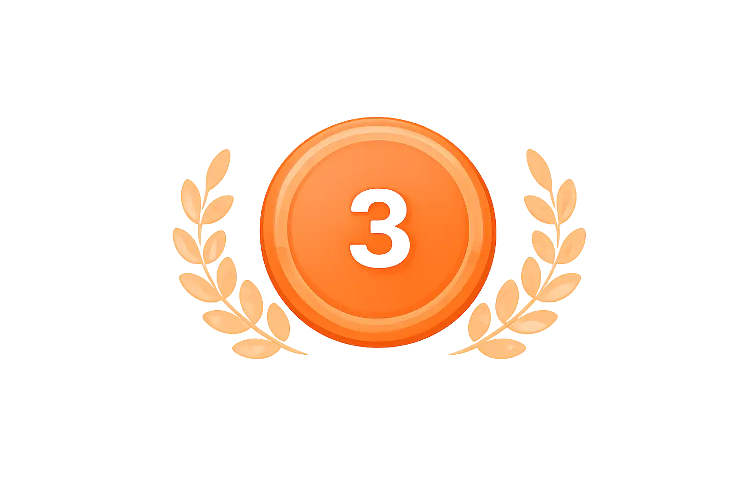 Bronze Medal